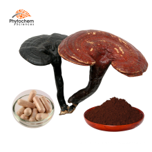 100% Pure Natural Chinese Herbal Extract/Red Reishi Mushroom 30% Polysaccharide Ganoderma lucidum Extract